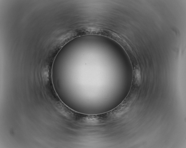 X0000113000668200908271349