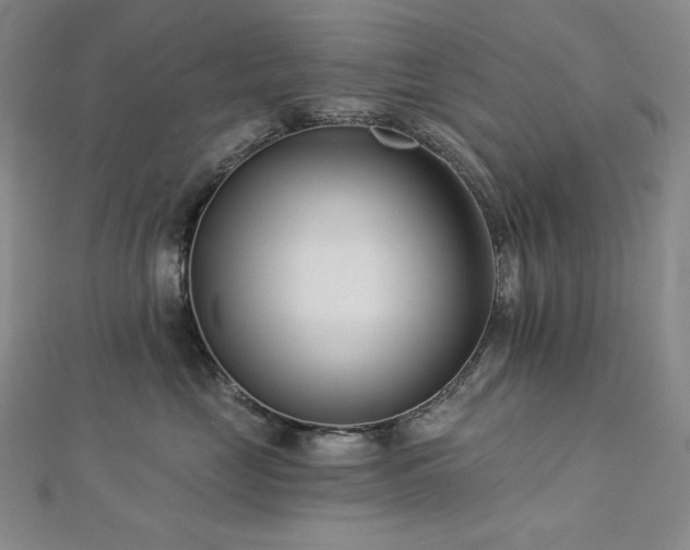 X0000113000669200908271349