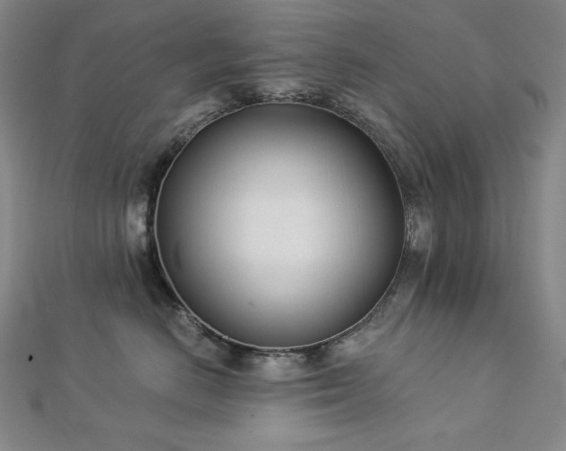 X0000113000670200908271349