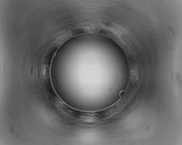X0000113000671200908271349