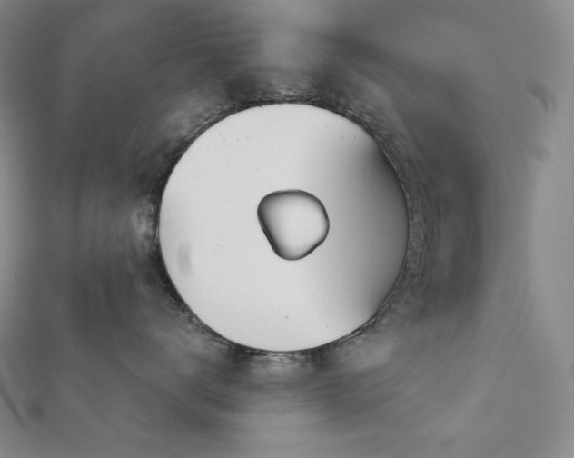 X0000113000672200908271349