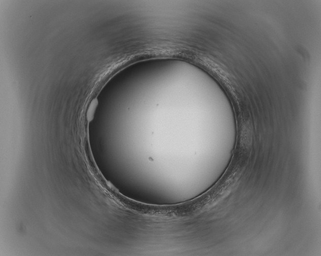 X0000113000673200908271348