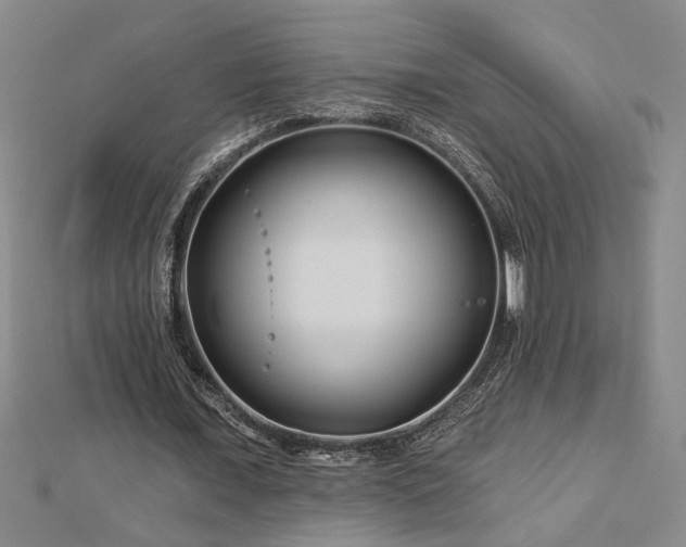 X0000113000675200908271348