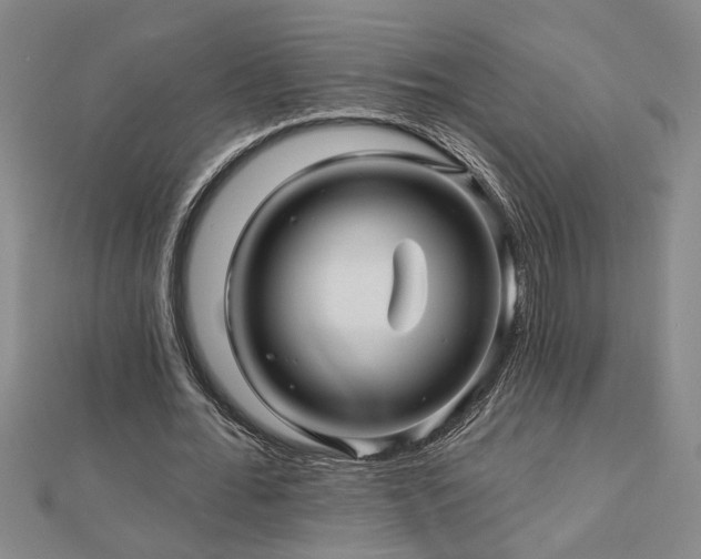 X0000113000676200908271348