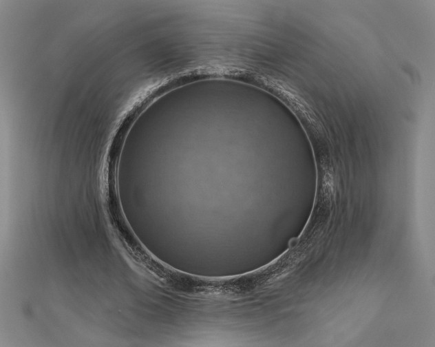 X0000113000678200908271348