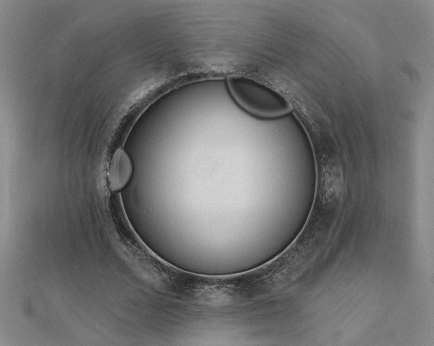 X0000113000680200908271348