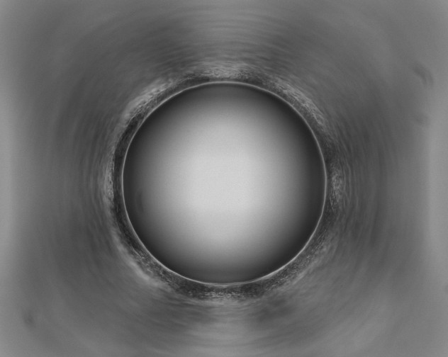 X0000113000682200908271348
