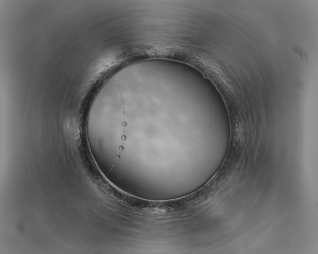 X0000113000687200908271348