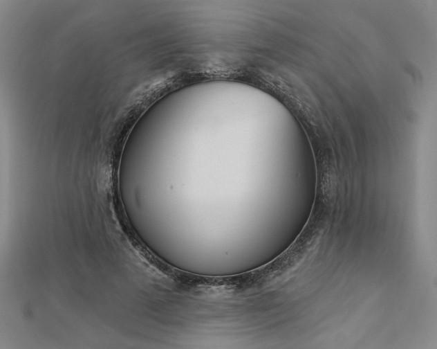 X0000113000689200908271348