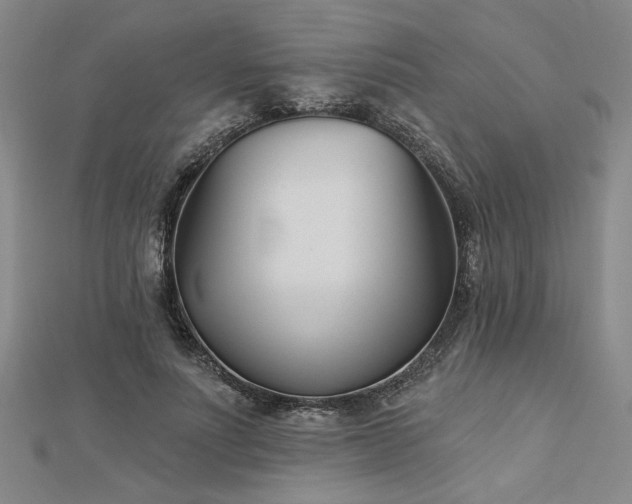 X0000113000691200908271348