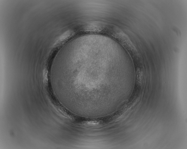 X0000113000692200908271348