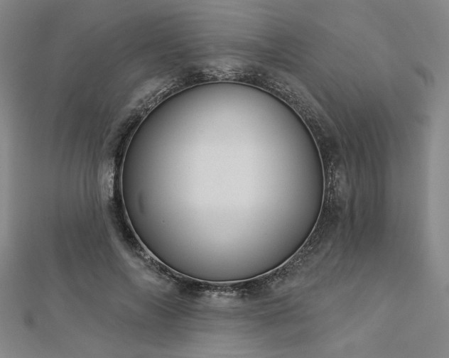 X0000113000694200908271348