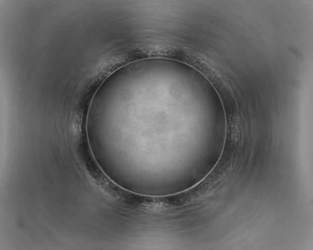 X0000113000695200908271348