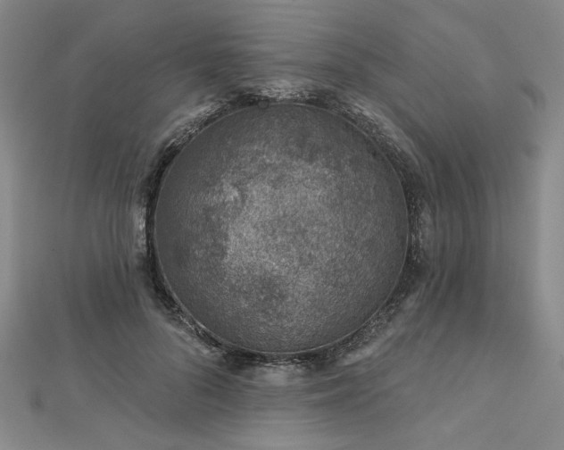 X0000113000696200908271347