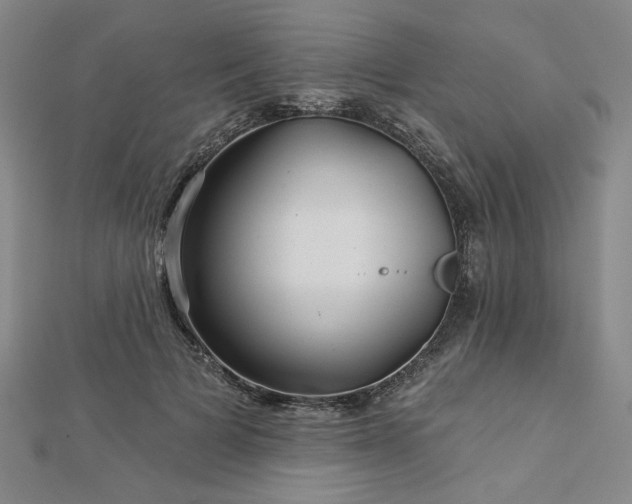 X0000113000697200908271347