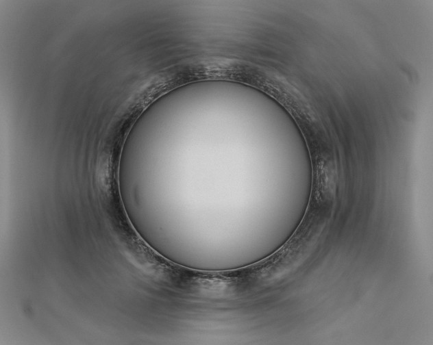 X0000113000698200908271347