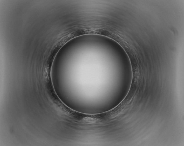 X0000113000699200908271347