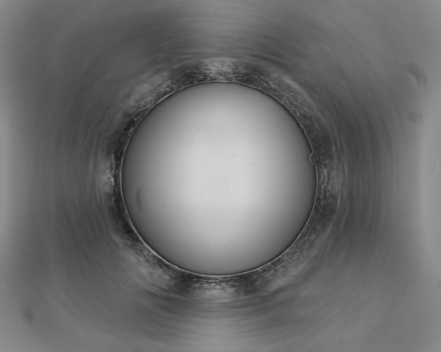 X0000113000702200908271347