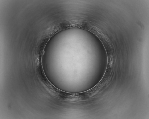 X0000113000703200908271347