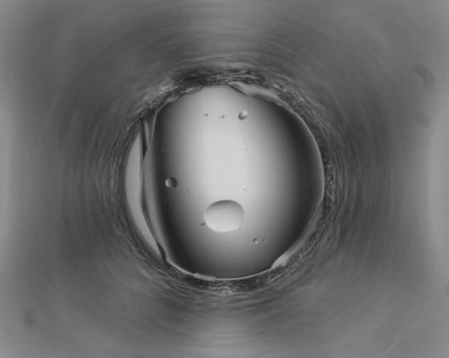 X0000113000704200908271347