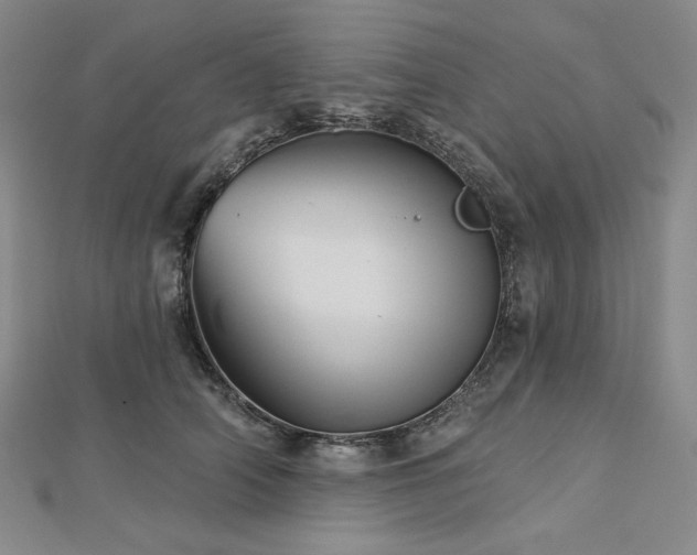 X0000113000706200908271347