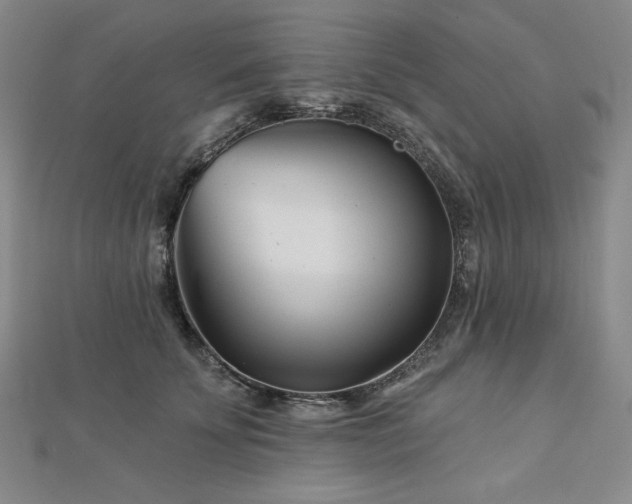 X0000113000707200908271347