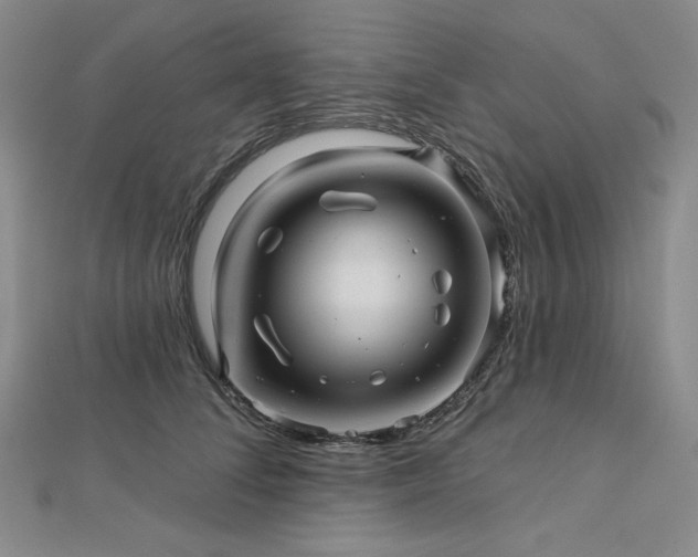 X0000113000708200908271347