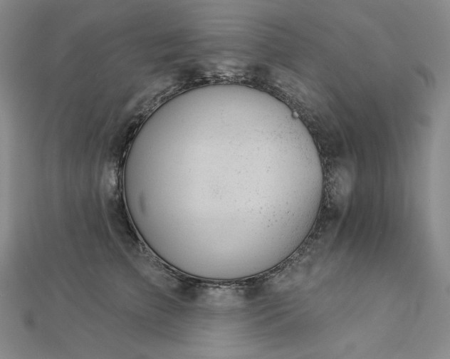 X0000113000709200908271347