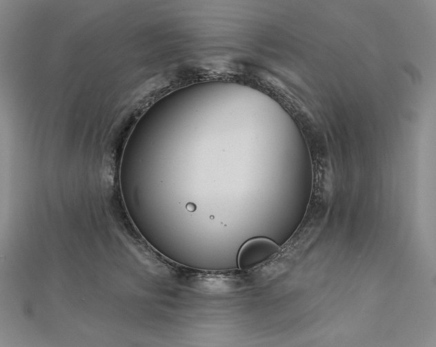 X0000113000710200908271347