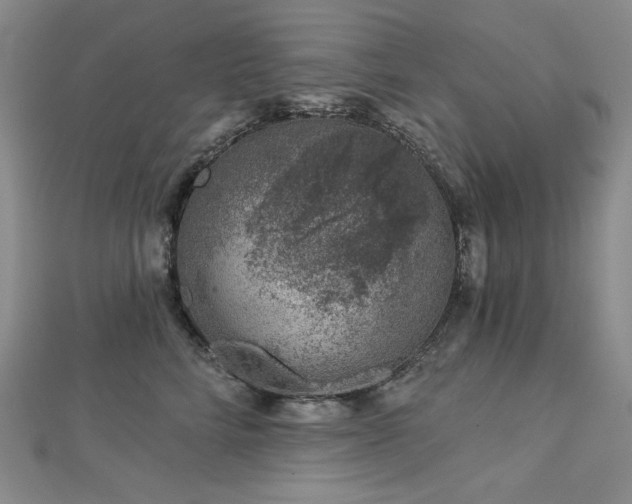 X0000113000712200908271347