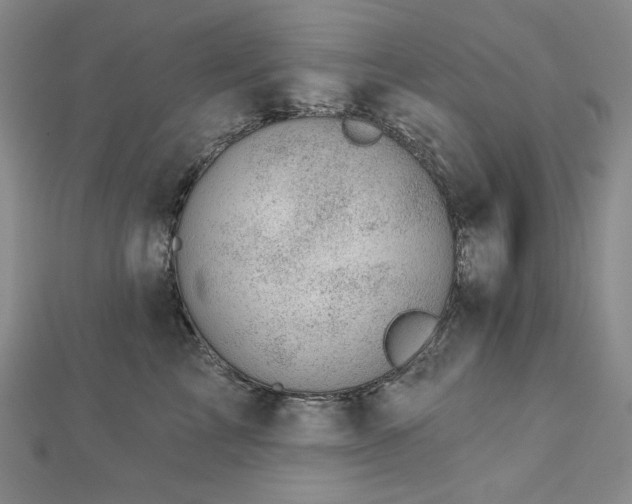 X0000113000713200908271347