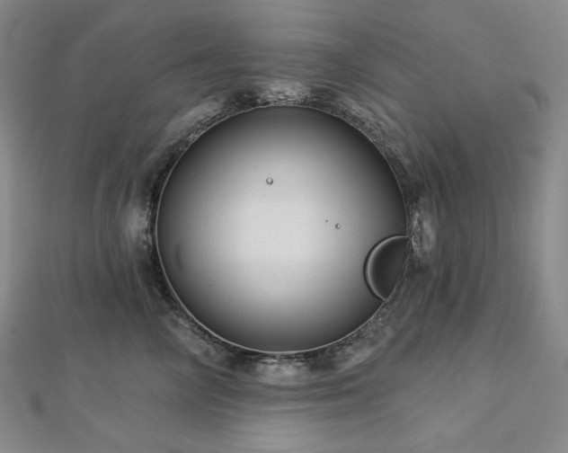 X0000113000714200908271347