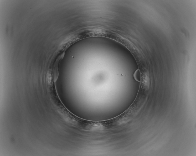 X0000113000715200908271347