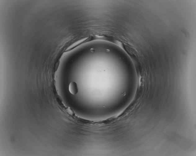 X0000113000716200908271347