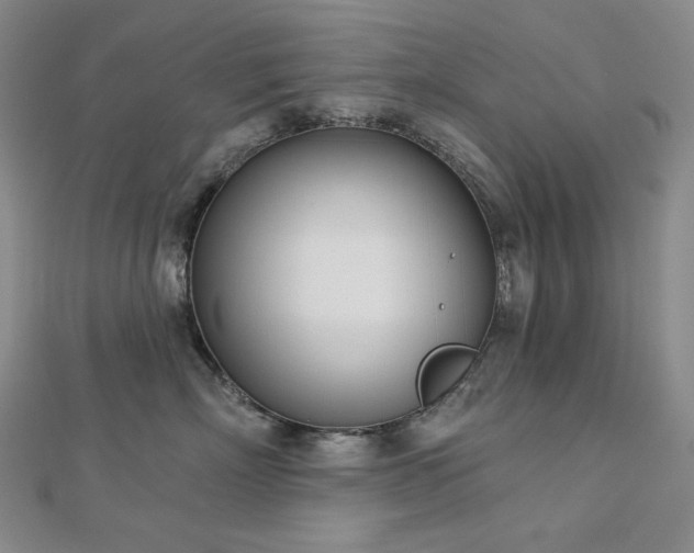 X0000113000718200908271347