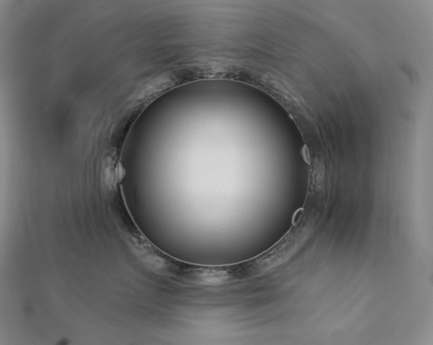 X0000113000719200908271347