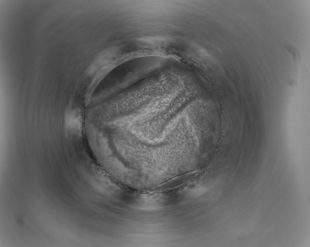 X0000113000720200908271347