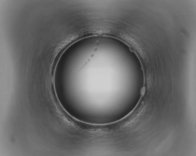 X0000113000721200908271347