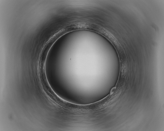 X0000113000722200908271347
