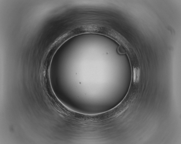 X0000113000723200908271347
