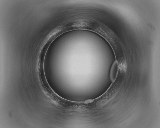 X0000113000724200908271347
