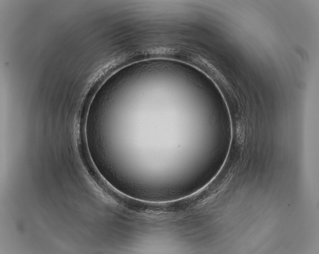 X0000113000725200908271347