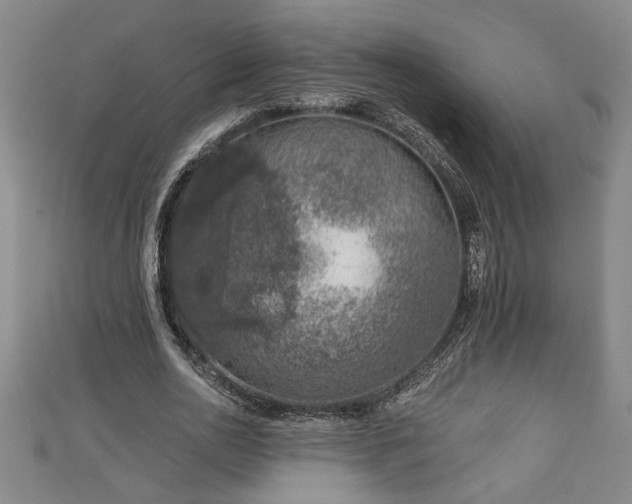 X0000113000726200908271347