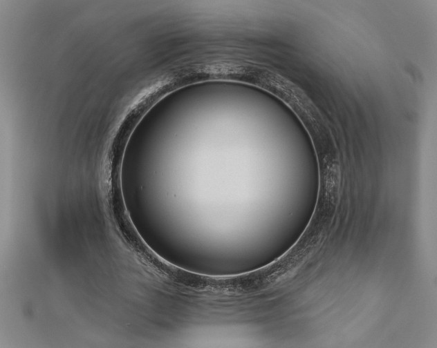 X0000113000727200908271347