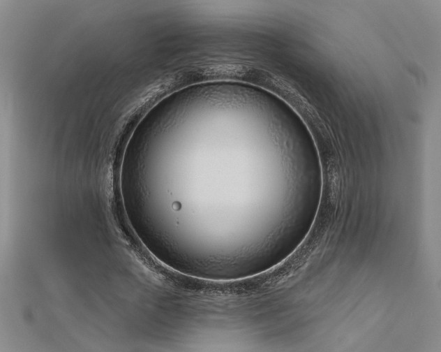 X0000113000729200908271347