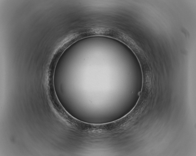 X0000113000730200908271347