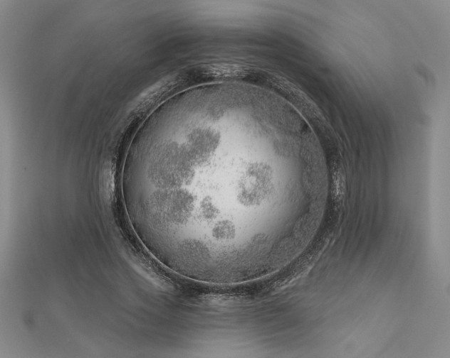 X0000113000733200908271347