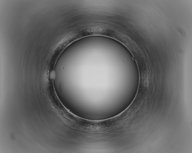 X0000113000735200908271347