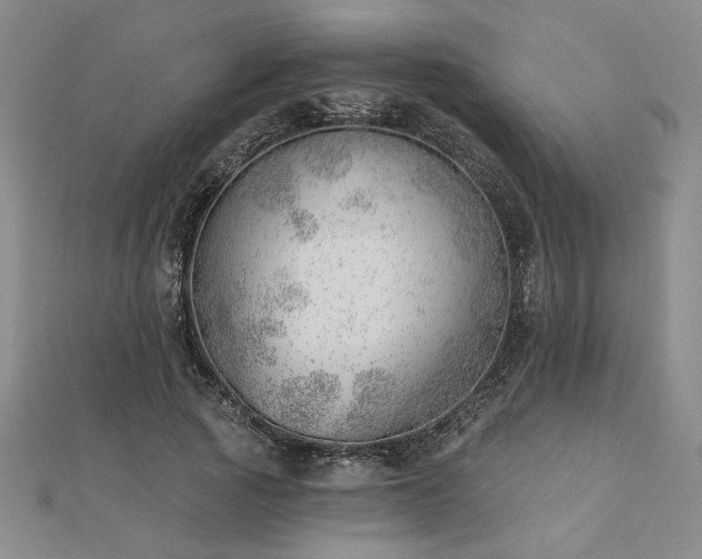 X0000113000737200908271347