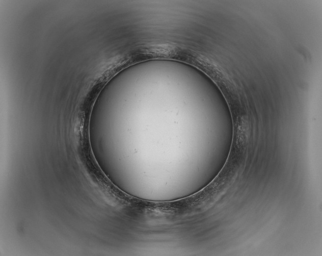 X0000113000739200908271347